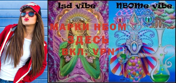 сатива Кирс