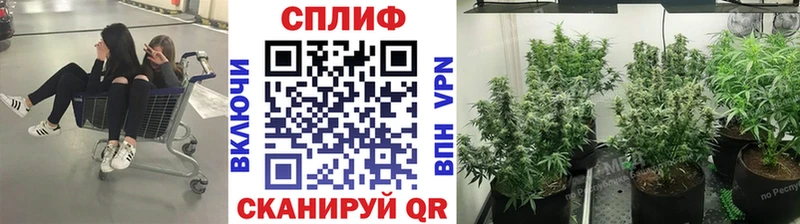 Купить  Нюрба  Бошки Шишки THC 21% 